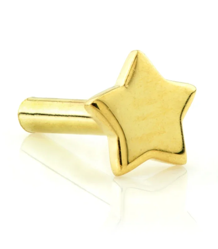TL - 18ct Internal Gold Star Labret Base