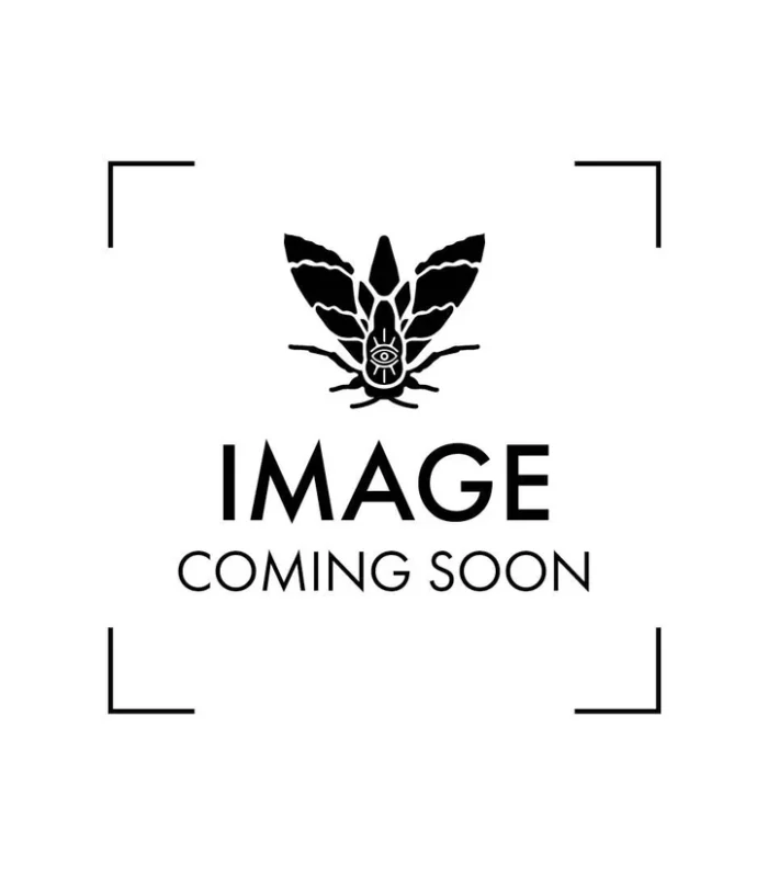 Old School Zircon PVD Gold Ti Internal Thread Labret Stem with 5mm Base - ZITB16ST