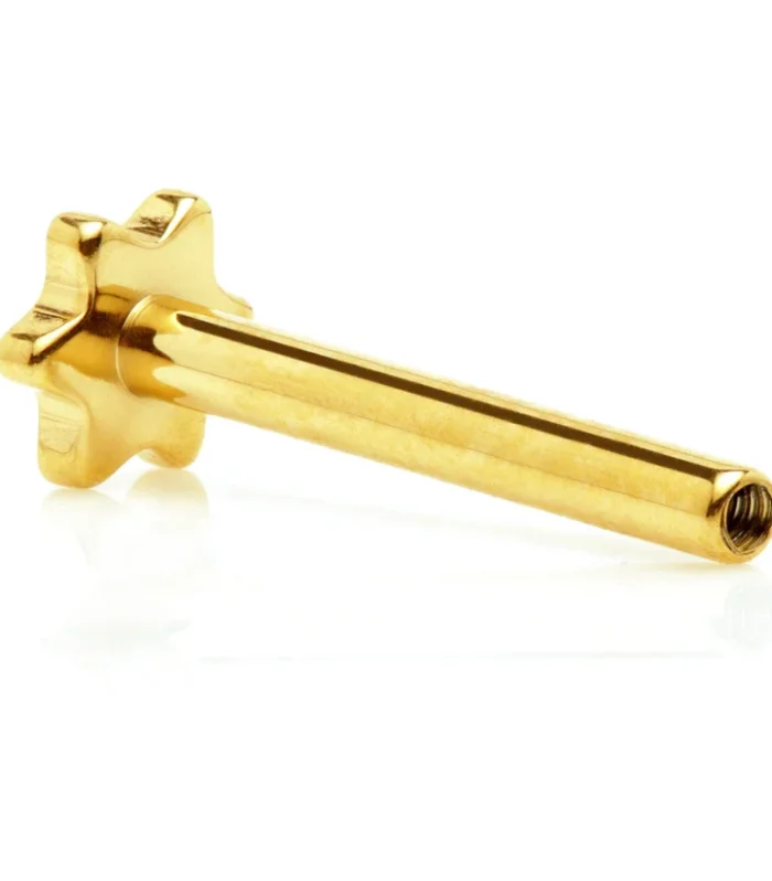 Zircon Gold Ti Internal Labret Stem with Star Base - 5