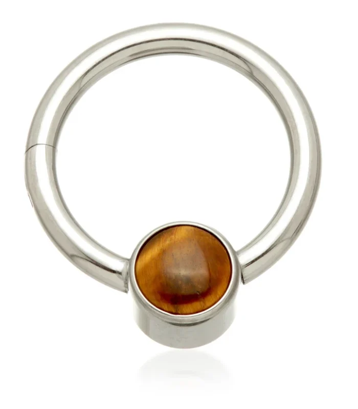 Ti Hinged Segment Ring with Tiger Eye Stone Disk