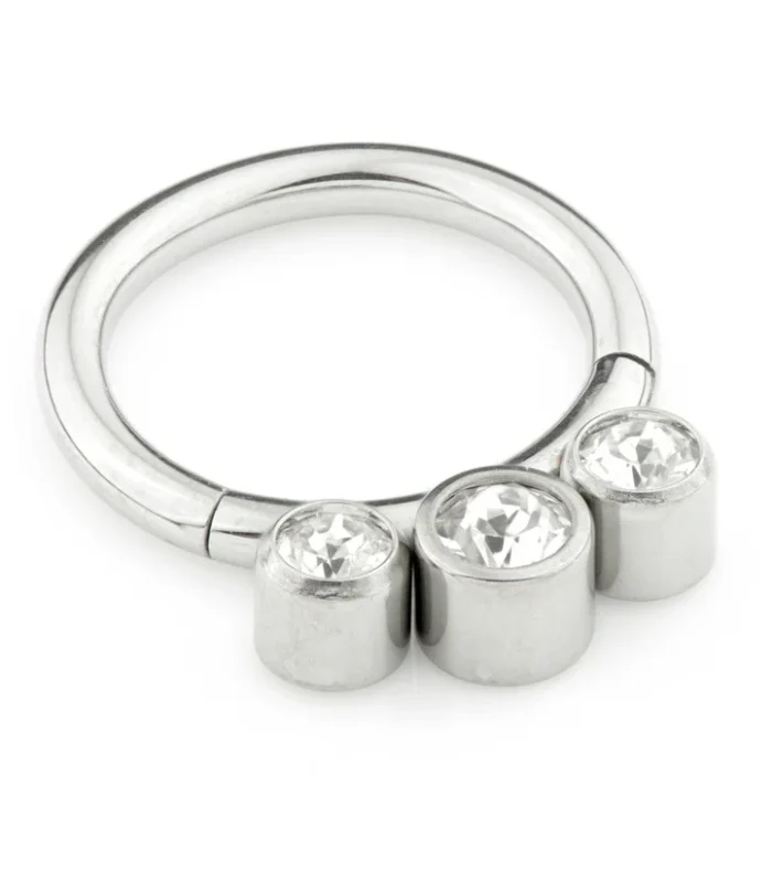 Titanium Jewel Hinged Segment Ring