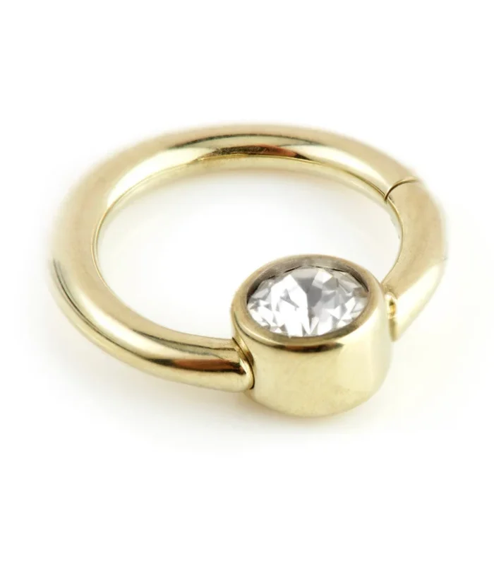 Zircon Gold PVD Ti Hinge Segment Ring with Gem