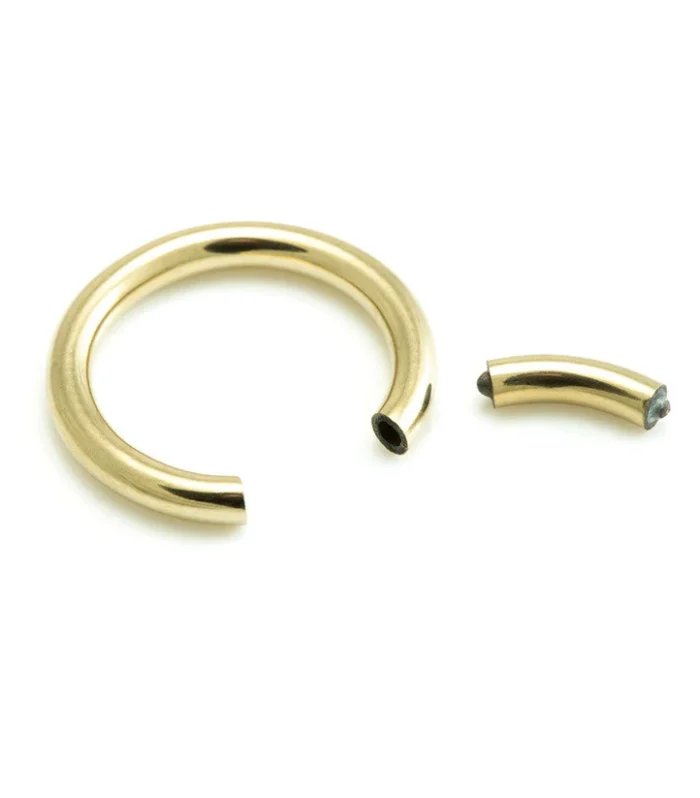 Zircon Gold PVD Ti Segment Ring