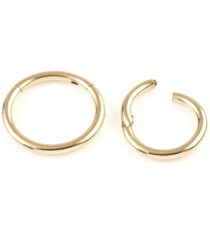 Zircon PVD Gold Ti Hinge Segment Ring