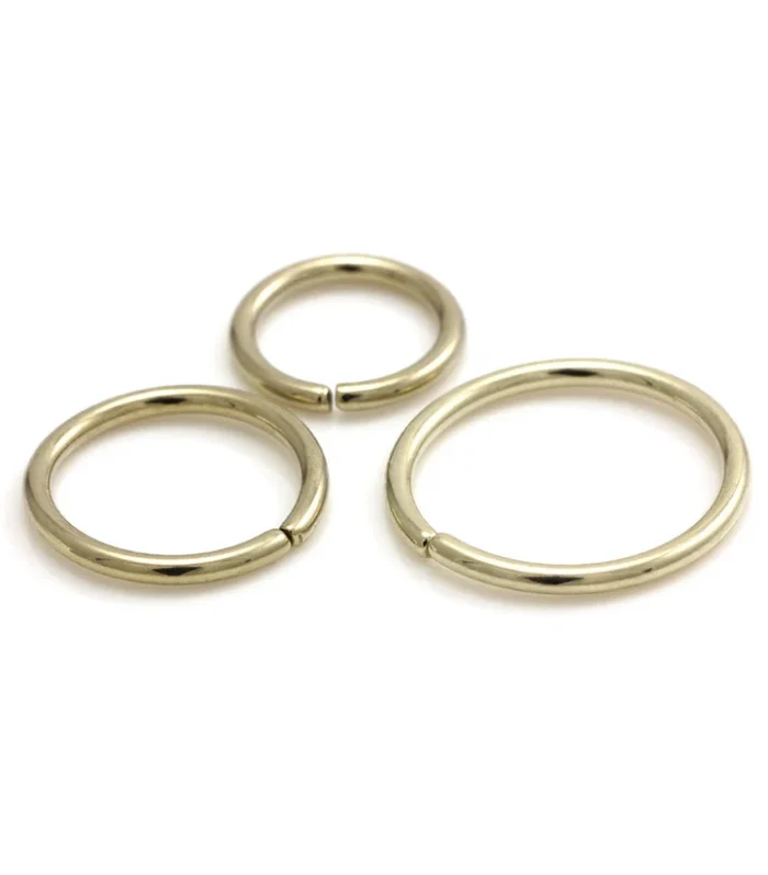 Zircon PVD Gold Ti Seamless Ring