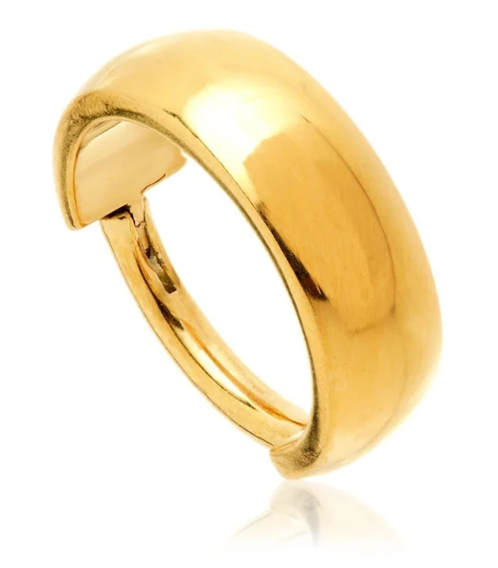 Zircon Gold Titanium Plain Band Hinge Ring